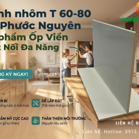 Thanh nhôm T 60-80 của Phước Nguyên