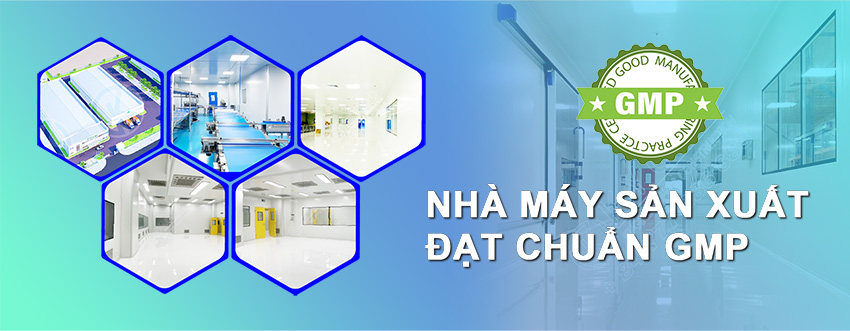 Nhà máy GMP